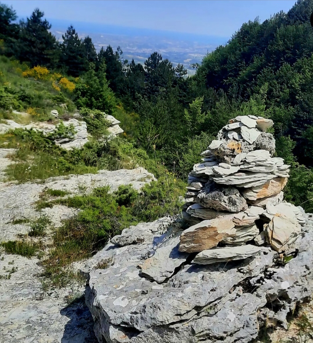 Dalle vaghe opinioni alla roccia della fede.